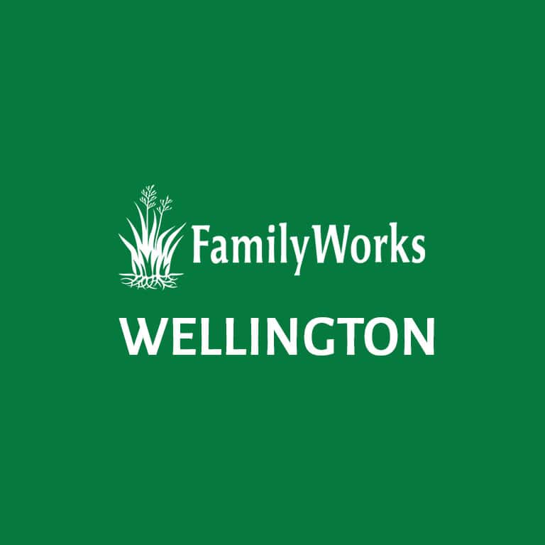 Family Works Wellington